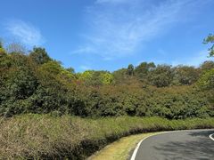 -宜兴龙背山森林公园