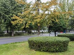 -东北大学(南湖校区)