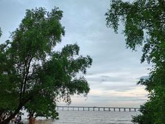 -宝安西湾红树林湿地公园