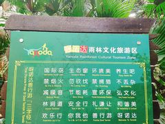 -呀诺达热带雨林