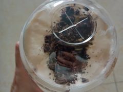 -桂桂茶(金谊广场店)