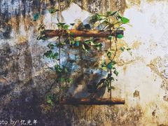 -微饮cafe