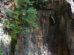 -南香茶餐室