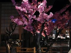 -蓝鲸湾汤泉(包河店)