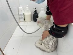 -美联众合24小时·皮肤科·外科·全科诊疗中心(华苑分院)