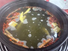 -花苑美食横琴生蚝火锅(拱北粤华路店)