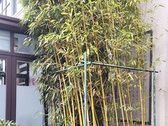 -凤竹园(修水店)