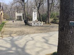 -灵谷景区