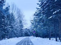 -北极村旅游风景区