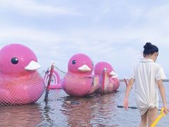 -碧海金沙