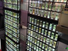 -广东中医药博物馆