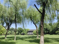 -闻莺馆(柳浪闻莺店)