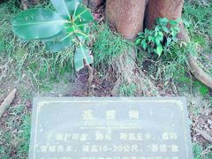 -博鳌禅寺