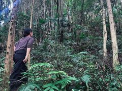 -都江堰普照寺