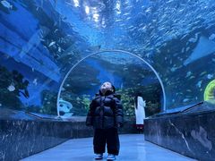 -海合安成都极地海洋公园