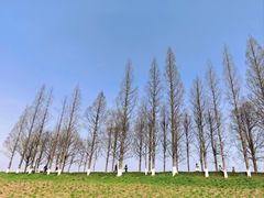 -良渚古城遗址公园
