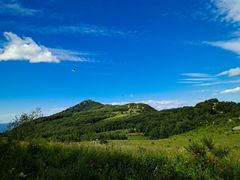 -白草畔自然风景区
