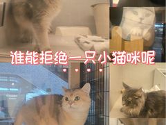 -瑞虹新天地月亮湾