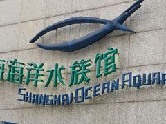 -上海海洋水族馆