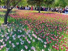 -长春公园(普阳街道)