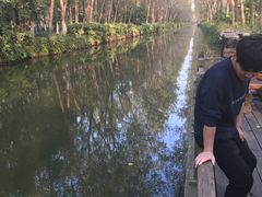 -合肥滨湖国家森林公园