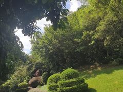 -雁南飞茶田景区