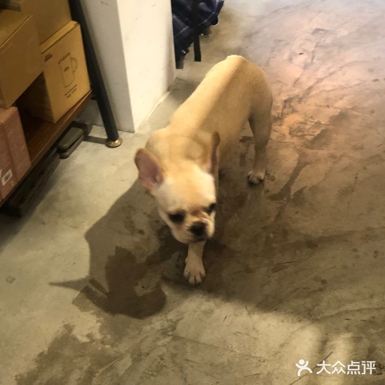 上海 ｜ 精致· 日本风