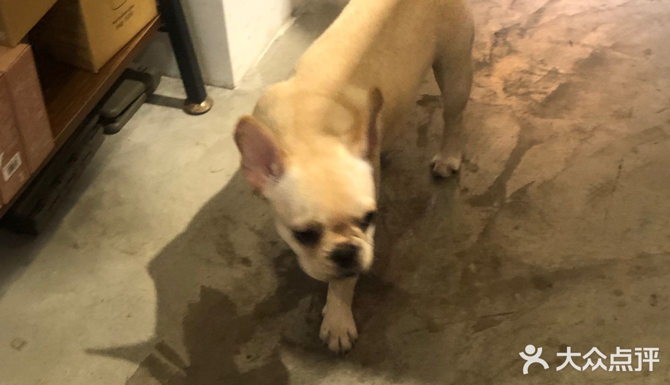 上海 ｜ 精致· 日本风