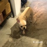 上海 ｜ 精致· 日本风