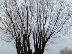 -汉长安城未央宫国家考古遗址公园