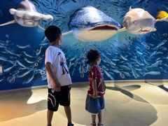 -烟台海昌鲸鲨海洋公园