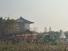 -长田漾湿地公园