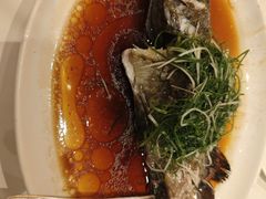 -香港深井掂檔烧鹅茶餐厅(海韵城店)