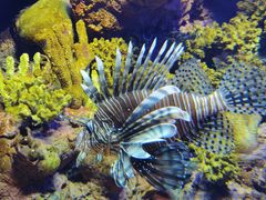 -上海海洋水族馆