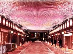 -江户樱花旅馆