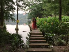 -重庆彩云湖湿地公园