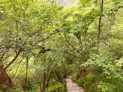 -十渡东湖港风景区