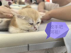 -万达广场(大明宫店)