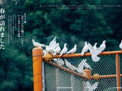 -梅岭铜源峡风景区