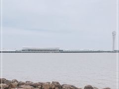 -上海吴淞炮台湾国家湿地公园