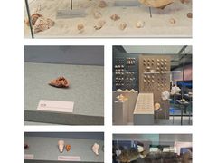 -上海中国航海博物馆