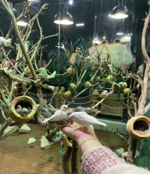 -Zoolung Zoolung动物主题公园(海信广场店)