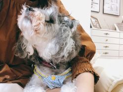 -Adore nail日式美甲美睫