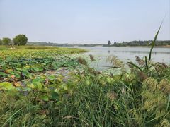 -北京麋鹿生态实验中心