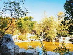 -上海吴淞炮台湾国家湿地公园
