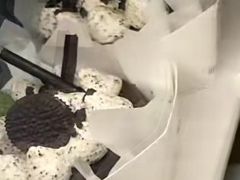 -美心西饼mx cakes(市桥站店)