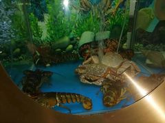 -辉哥火锅(虹桥路店)