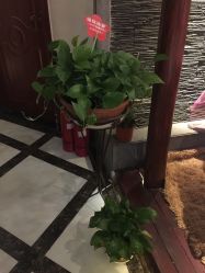 -YESIDO椰岛造型烫发染发