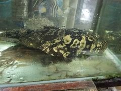 -钱大妈海鲜饭店(保利林语店)