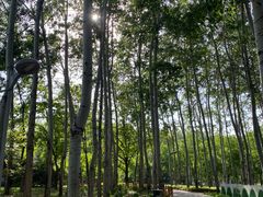 -仁和公园(顺义区)